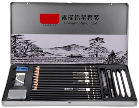 Fydun 29 Pezzo di Disegno Professionale Schizzo Matite di Carbone, Gomme e Accessori per Arte, Artigianato e Pittura