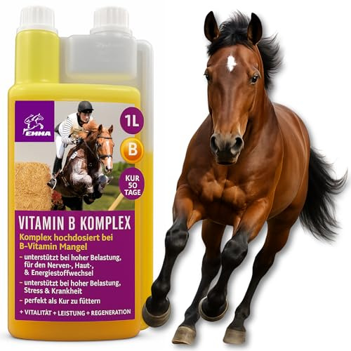 Vitamina B Complex Horse 1L Liquid I Vitamina B altamente dosata per cavalli e pony con vitamina B1 B2 B6 B12 vitamine I Il complesso di vitamine B supporta la muscolatura il metabolismo nervoso