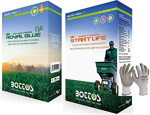 Royal Blue Plus - Semillas para césped ideal para zonas rústicas 1 kg + abono para césped Start Life 2 kg Primo Desarrollo Alfombra Herboso Jardín * Incluye guantes VF UTILIA de nitrilo / nailon *