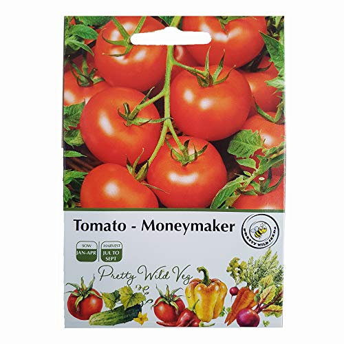 Pretty Wild Seeds Moneymaker Tomato Seeds in Pictorial Packet from UK Seller