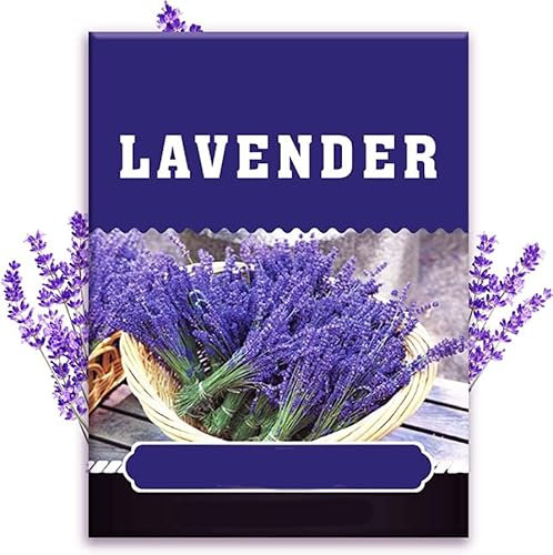 DECOALIVE Semillas de Lavanda para Cultivar en Terraza y Jardín