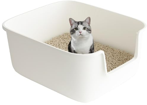 Suhaco Bac à Litière Haut pour Chat Anti-éclaboussures Grande Litière Ouverte 49 x 42 x 22 cm pour Petits Chats Bac à Litière à Entrée Basse (Blanc)