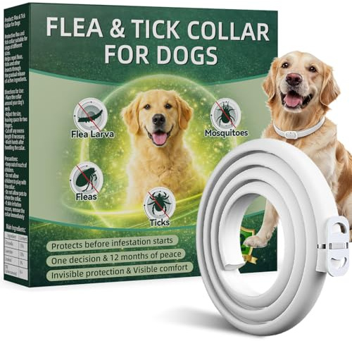Collare Antiparassitario per Cani, Collare Antipulci Cane, Protezione Efficace, Naturale, Impermeabile, Regolabile, Collari Antiparassitari per Cani per Piccoli, Medi e Grandi a Tutte le Razze,65cm