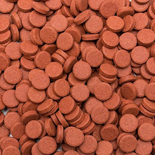 Tropical Farbfutter Hafttabletten, 1er Pack (1 x 1 kg)