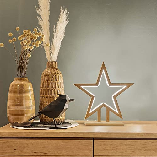 hellum LED Weihnachtsstern mt Lichtschlauch, warmweiß, 35cm, Weihnachtsdeko Innen, Kabel transparent, Bambus holzfarben, Zuleitung 3m, Weihnachtsbeleuchtung Innen 579246