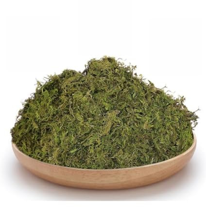 100G Not Fake Artificial Moss for Potted Plants, for DIY Crafts, Not Faux Moss for Table Centerpieces Fairy Garden Decor