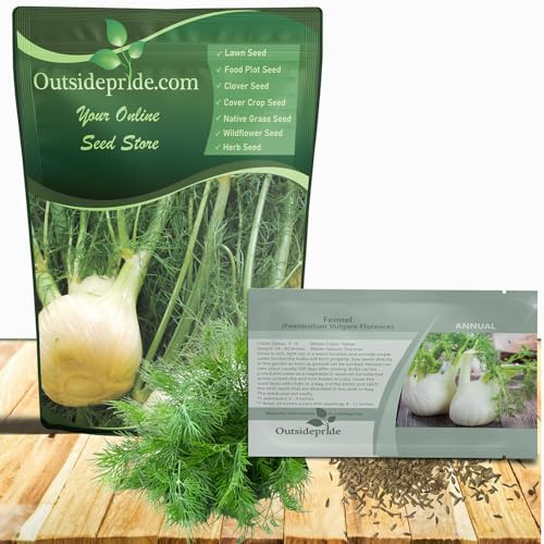 Outsidepride Florence Fennel Seeds - 1 lb. Annual, Pollinator Friendly & Easy to Grow, Herb Seeds for Planting Aromatic & Sweet Yellow Blooms for Versatile Uses & Culinary Creations