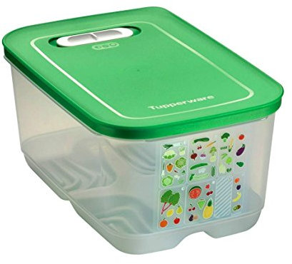 TUPPERWARE A21 Ventsmart da 4,4 L verde scuro