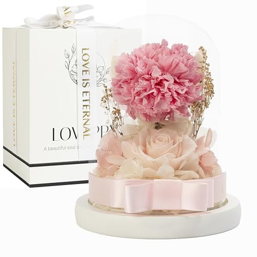 LOVAPPY Flowers: Preserved Rose and Carnation in Glass Dome - Romantic Home Decor and Gift - Fresh Bouquet, Forever Flowers, Gift for Birthday