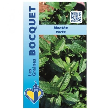 Sachet de graines de Menthe verte - 0,5 g - légume feuille - LES GRAINES BOCQUET