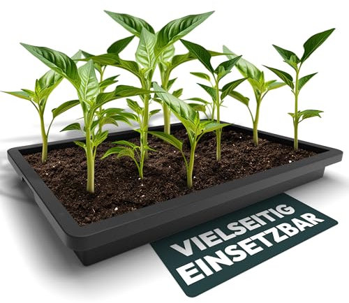 UDOPEA Profi Kunststoff Wanne flach (60 x 40 x 6,5 cm) - Pflanzschale, Wasserwanne ohne Bodenlöcher - Ideal für Pflanzen, Anzuchten, Garten (7 Stück)