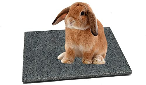 DiConcetto Kratzstein/Pflegestein sowie Kühlplatte/Klimastein aus Granit für Hamster, Meerschweinchen, Hasen und weitere Nager (30 x 20 x 1, Dunkel)