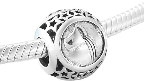 Charm del Zodíaco Acuario horóscopo signo zodiacal de plata 925 - Les Folies para Pandora, Plata de ley, Circonita cúbica
