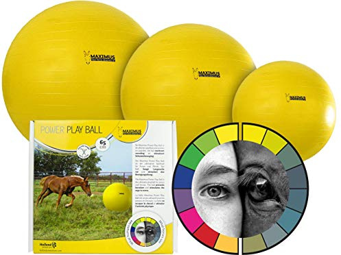 Maximus Suministros Para El Caballo Power Play Ball 65 cm
