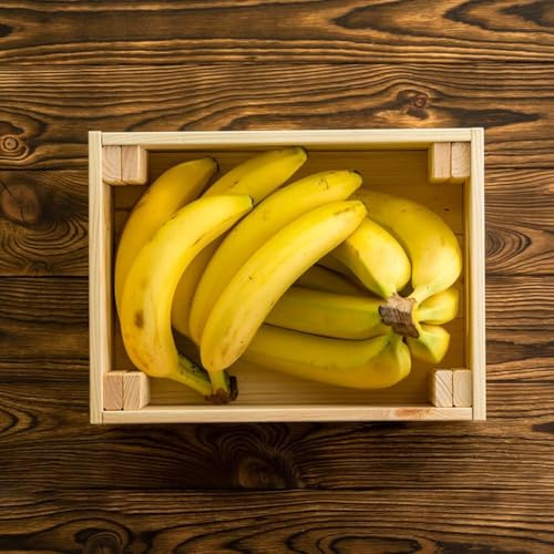 200 pezzi semi resistenti della banana - perenne resistenti banana acquistare Semi per la decorazione