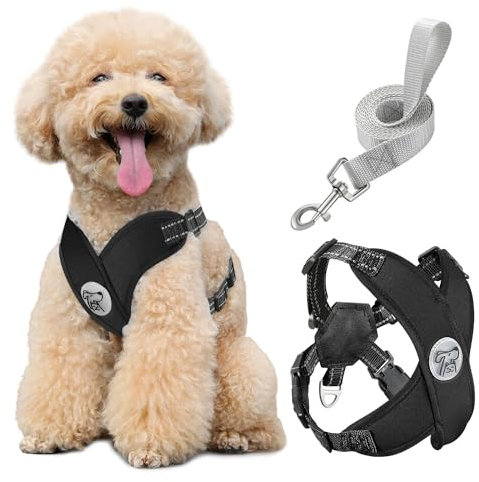 Pawaboo Hundegeschirr mit Hundeleine Set, X-Rahmen Verstellbares Anti Zug Anti-Erstickung Hund Brustgeschirr für Kleine, Mittelgroße Hunde & Welpen, Atmungsaktive Hundeweste mit Leine (M, Schwarz)