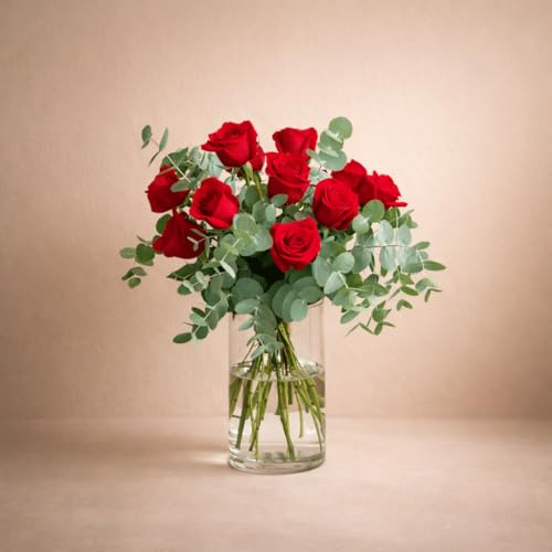 FLORES SOLIDARIAS - Ramos de Flores Naturales Rosas Rojas Eucalipto - Ramo Fresco de Calidad para Regalo, San Valentín, Día de la Madre, Bodas, Aniversarios, Cumpleaños y Decoración del Hogar