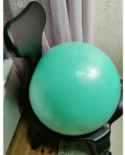 EXCLURA Sedia Palla Ufficio Sedia con Palla da Esercizio Rotante e Pompa, Sedia da Ufficio Ergonomica con Palla da Yoga per Ufficio in Gravidanza, Sedia da Scrivania(B)