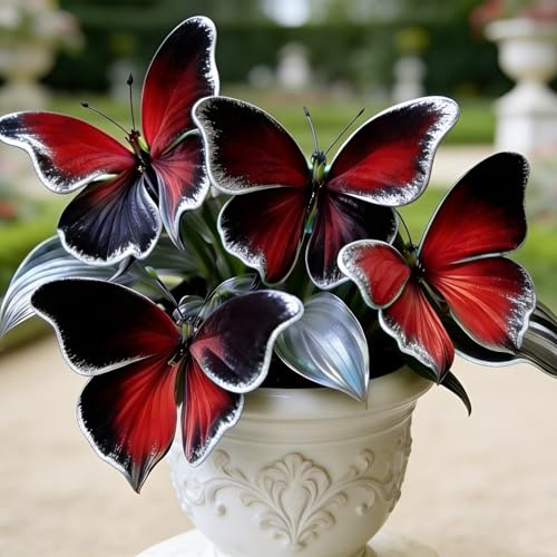 hosta rari Crescita Rapida Bellissimo Giardino Facile Da Mantenere,Perfetta per giardini ombreggiati e bordi di aiuole-4bulbi-f