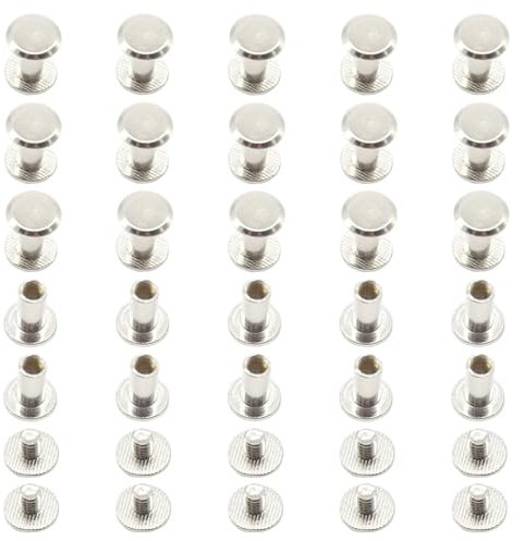 Ruidee Juego de 100 tornillos Chicago M5 x 10 mm, remaches de cabeza plana redonda para álbumes de cuero (DZBD/M5 x 10)