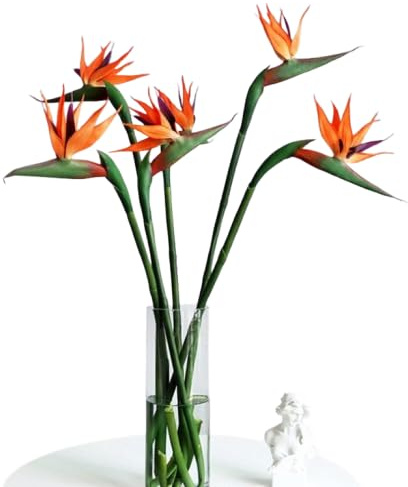 Bouquet de Strelitzia | DECOALIVE | Ramo de 10 Flores de Ave del Paraíso| Flores Frescas Naturales