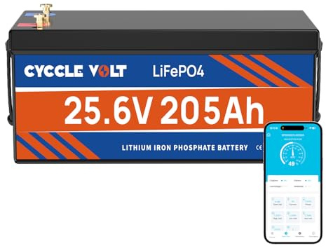 CYCCLEVOLT Batería Litio 24V 200Ah LiFePO4 con BMS 200A, Bateria LiFePO4 de 5120Wh,8000+ Ciclos, Batería de Ciclo Profundo de Litio, Caravanas, Sistemas insulares, Autocaravanas, Barcos