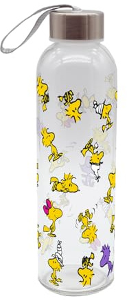 Gourde Peanuts Woodstock 500 ml en verre