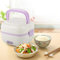 Reiskocher Klein für 1 Person Heißer Reiskocher mit 1 L Fassungsvermögen, Reisbox, multifunktionaler Mini-Reiskocher Rice Cooker Mini Lunchbox Elektrisch Electric Rice Cooker