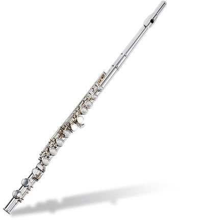 tvärflöjt instrument Flöjt 16 hål vuxen nybörjare professionellt spelar flöjtinstrument