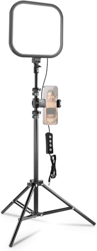 NEEWER Panneau Lumineux LED Vidéo 15W 27,4cm(10.8) avec Trépieds et Supports de Téléphone de 160cm, Éclairage Plein Écran Bicolore à Intensité Variable 816 lux CRI95+ pour Photographie, L220