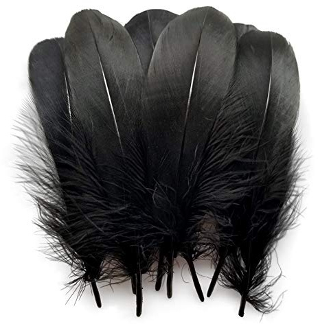 Sowder Natural Goose Feathers Clothing Accessories Pack of 100(Black)