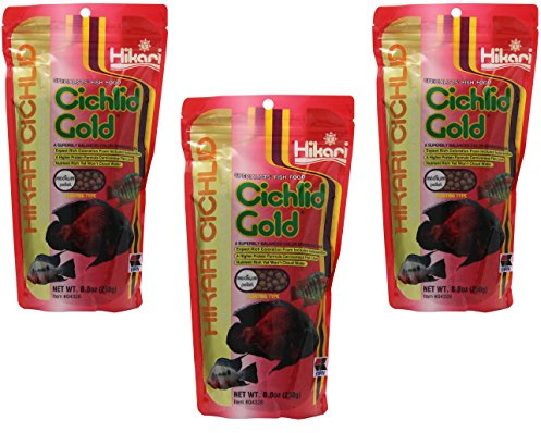 HIKARI (3 Pack) 8.8-Ounce Cichlid Gold Floating Pellets for Pets, Medium