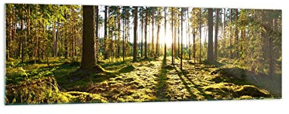 Panorama Bilder auf Glas 160x50cm Glasbild Wald Baum Natur Groß XXL Wanddeko Bild im Glas Schlafzimmer Küche Wandbilder Dekoration Wohnzimmer Modern Wall Decor Wand Kunstdruck Art GAB160x50-3724