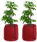 DEWUR Protector térmico para plantas en exteriores, doble aislamiento, protección invernal para plantas en macetas contra las heladas y la humedad, con drenaje (rojo, 2 unidades (45 x 50 cm)