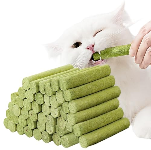 Lot de 48 bâtonnets d'herbe à chat : bâtonnets d'herbe à chat, collations lyophilisées pour les soins dentaires et le contrôle des boules de cheveux, herbe à chat avec poulet, huile de poisson, eau de