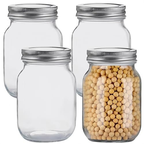 MEETOZ 4 Pack Glass Mason Jars,500ml Clear Glass Jars,with Silver Metal Lids,Overnight Oats, Candies, Honeys, Snacks, Food Storage, Canned Foods, DIY Projects
