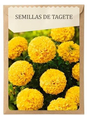 Tagete Ornamental para Jardines Coloridos – Semillas de Tagete para Maceta, Parterres y Borduras DECOALIVE