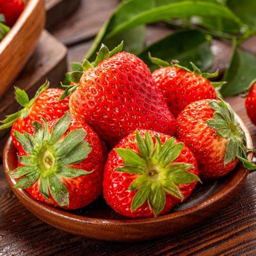 semi di fragola, fragola biologici, colonnari, perenni, Le da giardino sono perenni resistenti 800pcs