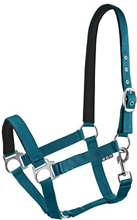 Start Halfter Pferd verstellbar – Nylon Halfter mit Polsterung – Größen: Pony, Cob, Warmblut – Komfortabel & Robust – Pferdehalfter für Stall & Weide (Petrolblau, Full)