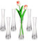 Glasseam Blumenvase Modern Glasvasen Schmal: 6er 20cm Hoch Blomus Vase Glas Set Handmade Schmale Vasen Tischdeko Wohnzimmer Esstisch Tulpenvase Dekovase für Pampasgras Tulpen Rose Hochzeit Deko