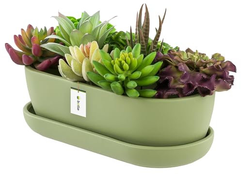 botle Blumentopf Keramik Hell grün Kaktenschale mit Untersetzer Oval LxBxH 13 cm x 27,5 cm x 8 cm Oberfläche Matt Kakten Modern Glamour