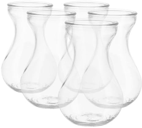 Alipis 5piezas Jarrones De Vidrio Hidropónico para Oficina y Hogar Floreros Transparentes para Decoración De Plantas Terrario para Arranjos