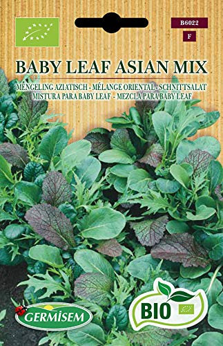 Germisem Schnittsalat BABY LEAF ASIAN MIX, ECBIO6022