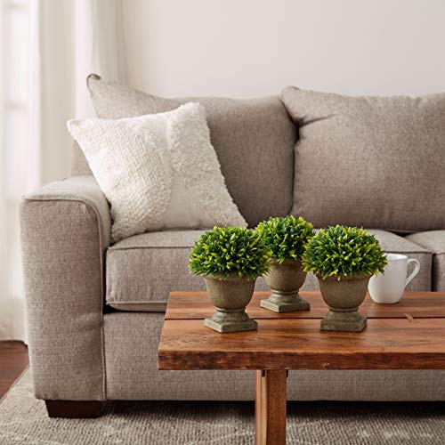Artificial Podocarpus Grass Plant in Concrete Pot- Round Set of 3, 7.5 Decorative Faux Indoor Ornamental Potted Topiary by Pure Garden
