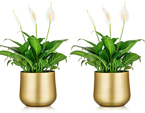 NUPTIO 2 Stück Pflanzentopf Goldvase Metallblumentopfvase mit Drainageloch, Moderner Aufbewahrungsorganisator Dekorative Geschenke für Die Hochzeit Indoor Outdoor Wohnzimmer Balkon Bodendisplay