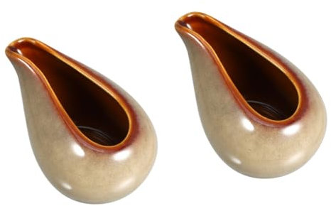 Garneck 2 Pz pentola per immersione barbecue crema scodella brocca schiumante brocca per cremiera in porcellana d'acero bollitore brocca di latte in ceramica distributori di salsa