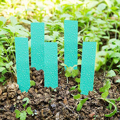 Generic Etichette per Semi di Piante Pennarello Resistente e Impermeabile per Giardino 100 Pezzi per Vassoi di Semi, Vasi, Piante Giovani - Etichette per Vivaio in Plastica Bianca, Gialla, Verde,