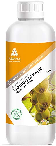 SOLFATO DI RAME LIQUIDO TRATTAMENTI FUNGICIDI BIOLOGICO INVERNALE agrumi ciliegio pesco mele pere vite olivo susino noce nocciolo orticole e aromatiche