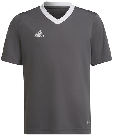 adidas Unisex Kinder Entrada 22 Jersey T-Shirt, Team Grey Four, 15-16 Years