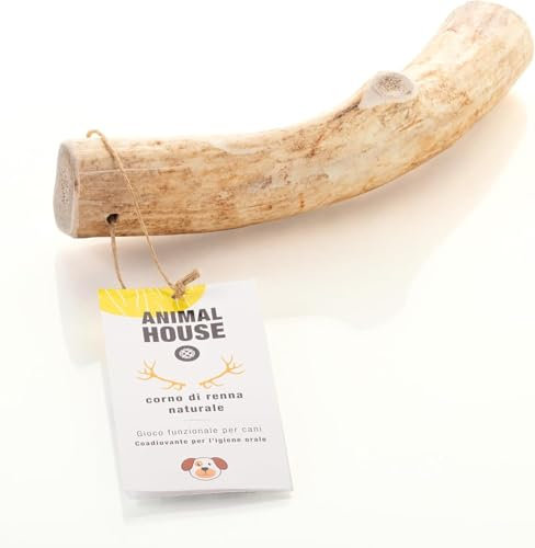 Animal House Corna di Renna per Cani, Masticativo Naturale al 100%, Rafforza Igiene Orale, Resistenti e Duraturi, Disponibili in tutte le taglie, Cruelty Free (L)